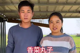 用香菜也能炸丸子，90%的人没有吃过吧   #新农人计划2024 #记录真实生活 #农村美食 #抖音乡村生活家 #农村生活视频封面