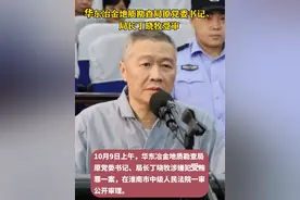 华东冶金地质勘查局原局长丁晓牧受审#庭审视频封面