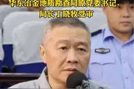 华东冶金地质勘查局原局长丁晓牧受审#庭审视频封面