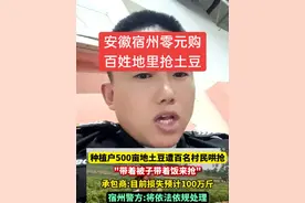 安徽宿州农户种植的土豆被周边村民疯抢，每天损失20万斤，胆子太大了……#安徽宿州 #土豆 #老百姓关心的话题 #张梁一顿四个菜视频封面