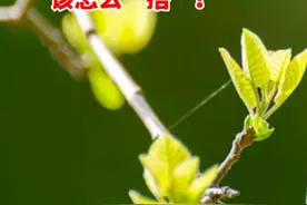 乍暖还寒温差大，“春捂秋冻”该怎么“捂”？#春天来了 #春捂秋冻视频封面