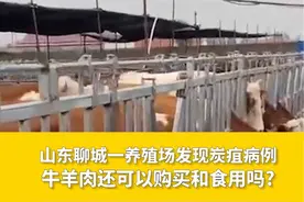 山东聊城一养殖场发现炭疽病例，牛羊肉还可以购买和食用吗?视频封面