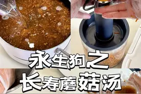 永远的爱犬｜长寿蘑菇汤 小狗的长寿蘑菇汤返场，健康的小狗每4.5kg每天喝30ml，宁少勿多！ 蘑菇和水的比例1:12 #养狗人 #养狗#狗狗  #永生狗 #永远的爱犬
