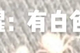 提个醒：大家一定注意最近不要上山了，有白色蜱虫，白色蜱虫，du性更强，被咬以后会躺板板打包烧成灰的，非要上山的话一定要做好防护#白色蜱虫#大山深处@视频封面