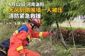 大风天一定要减少出门，注意安全！#消防救援