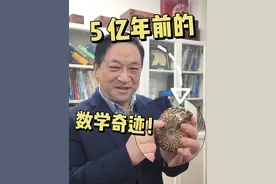 达尔文都惊叹！古生物化石教你玩转黄金分割 #黄金螺旋排位赛 #抖音数学科普视频封面