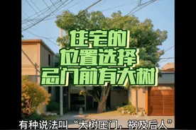 住宅的位置选择：忌门前有大树#住宅有讲究 #风水玄学 #风水宝地视频封面