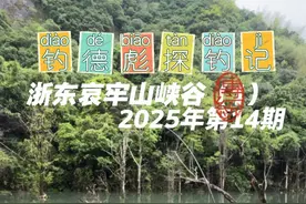 【秘境探钓】徒步1小时深山峡谷，竟藏巨物！上集 浙东哀牢山，猪八戒和青白娘子肆虐，钓德彪一探究竟！#荒野求生 #钓鱼人就是这么疯狂 #超牌觉醒 #上渝谷麦 #内容启发搜索