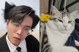 喵语吵架！两脚猫大获全胜！#喵喵大王 #猫语十级 #召唤猫术视频封面