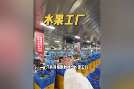 在蜜雪冰城的水果工厂上班是什么体验#vlog日常 #记录真实生活 #雪王水果工厂大揭秘#蜜雪冰城真不把我们当外人