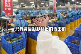 在蜜雪冰城的水果工厂上班是什么体验#vlog日常 #记录真实生活 #雪王水果工厂大揭秘#蜜雪冰城真不把我们当外人视频封面
