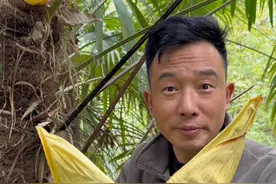 有没有云南的网友出来说句话，你们那边的棕苞花真的好吃吗？#农村生活 #棕苞花#大山里的原生态