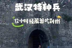 武汉特种兵12小时极限逛吃荆州 #武汉周边游 #荆州 #荆州古城 #荆州美食美客 #vlog旅行记视频封面