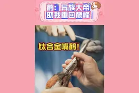 当救助的丹顶鹤，有了钛合金嘴... #神奇动物在抖音 #动物的迷惑行为 #动物科普 #动物世界 #科普一下视频封面