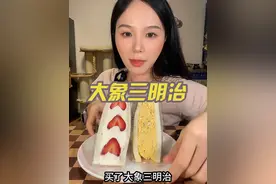 大象三明治～ #抖音美食推荐官 #吃货日常 #美食vlog #早餐吃什么 #美食推荐视频封面