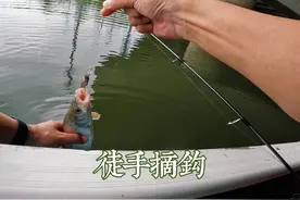悲剧，就在下一秒发生… #徒手摘钩徒手拔钩… #路亚新手入门教程视频封面