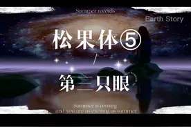 松果体⑤ （泥丸宫）脱钙后，冥想激活松果体，提高频率及能量。