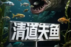 清道夫鱼：水中灭霸，不仅破坏生态系统而且还不能食用！ #科普 #动物世界 #清道夫鱼