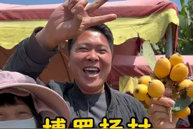 波仔走乡村，博罗杨村镇枇杷成熟啦。#乡村振兴 #农村生活 #枇杷熟了 #三农 #抖音助农视频封面