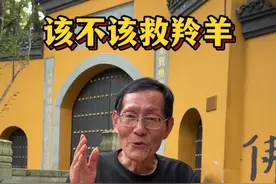 当羚羊被狮子撕咬时，我们该不该救羚羊？#慈悲 #因果 #自然法则