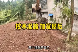 农村挖毁水泥路  加宽屋后#挖机教学 #挖掘机 #零基础学挖掘机视频封面