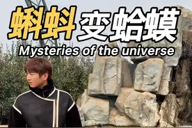 #亲子教育 #儿童安全 #蝌蚪变青蛙  #内容启发搜索 #摇宝