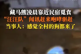 6月19日，西藏那曲。#藏马熊凌晨靠近民宿被汪汪队赶跑 一群狗狗狂吠半小时将熊驱离。当事人：感觉全村的狗都出动了。（来源：@菜饼侠 ）视频封面