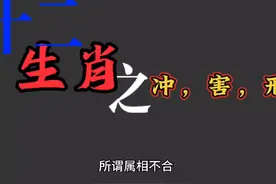 十二生肖之冲，害，刑#书单 #国学文化 #生肖文化 #智慧人生
