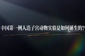 中国第一例人造子宫动物实验是如何诞生的？ #科普一下 #生命科学视频封面