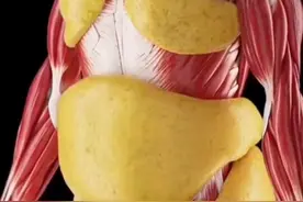 姐妹想快速掉秤，那一定是在早上空腹的时候，效果最好！ #居家锻炼 #暴汗燃脂瘦全身 #好身材练起来 #空腹有氧