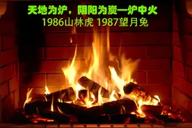86年的虎87的兔，有什么性格命运特点？#易学智慧 #易经文化视频封面