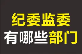 纪委监委有哪些部门？旗哥→@皮囊聊纪视频封面