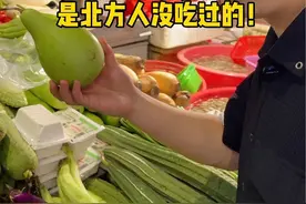 南方到底又多少蔬菜是北方人没吃过的！西红柿莴笋在南方难道不算青菜？南方的朋友们晒晒南方有北方没有的蔬菜，哪天我都去买回来试一下呗！一个东北人逛个菜市场，一半的蔬菜都没见过！在南方葫芦竟然也能吃！#南北差异 #南北饮食大不同 #南北买菜差异 #南方菜市场 #纪录真实生活视频封面