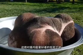 街头牛肚制作，刮下绒毛搭配羊肉一起熬煮，做成肚包肉