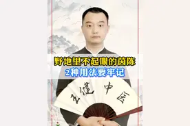 野地里不起眼的茵陈，2种用法要牢记#胆囊炎 #湿疹 #荨麻疹 #口苦 #抖出健康知识宝藏