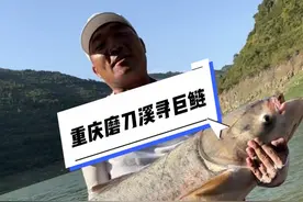 重庆云阳长江支流寻巨鲢，一波三折钓货一尾40➕巨鲢。#原来钓鱼才是抖音运动顶流 #浮钓鲢鳙 #2024dou来钓鱼 #张鲢长视频封面
