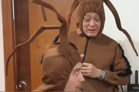 给大家介绍一下我们广东的蟑螂视频封面
