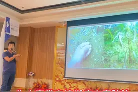让我们共同探讨海南槟榔种植产业的发展之路，携手合作视频封面