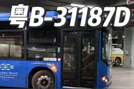 深圳西部公汽M340路的粤B31187D  对你们有些失望……. #公交迷 #城市公交 #深圳公交 #深圳 #公共交通视频封面