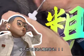 狗狗植入芯片！是保护还是隐患？#狗狗 #科学养宠攻略视频封面