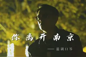 又是一年过去了，不知道你口琴吹的咋样了 #口琴 #你离开了南京从此再没人和我说话 #前奏一响拾起多少人的回忆 #创作者中心 #创作灵感 @DOU+小助手视频封面