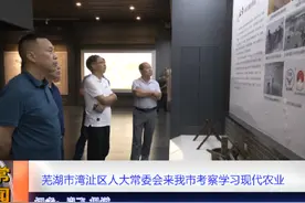 芜湖市湾沚区人大常委会来我市考察学习现代农业视频封面