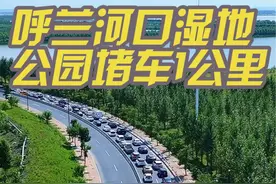 呼兰河口湿地公园3号门彻底火了，排队堵车一公里！ ##旅行推荐官 #景点打卡 #哈尔滨 #周边游 #堵车视频封面