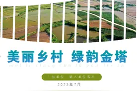 项目申报PPT案例#ppt #PPT版式库#PPT实战#美丽乡村