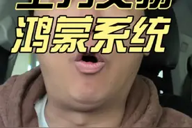 支持华为，使用鸿蒙系统#鸿蒙next #鸿蒙星河版不再兼容安卓视频封面