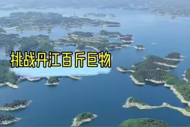 常年在外钓鱼，我们也为自然生态尽一点点绵薄之力，同时也挑战一下丹江里面的百斤巨物#原来钓鱼才是抖音运动顶流 #2024dou来钓鱼 #dou是钓鱼人 #用钓鱼开启五一假期视频封面