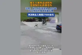 小狗追逐致人摔伤，狗主人被判赔2万多#社会百态