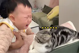 带了6个月娃的猫猫，听到宝宝哭反应太真实 #毛尖尖 #猫咪 #萌宠视频封面