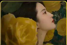 黄亦玫跟庄国栋分手并辞职打算去上海读研#玫瑰的故事 #刘亦菲