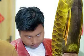 海杉狂飙之《天大地大，直播最大》#海杉文化 #海杉会 #海杉会助理#抖音短剧视频封面